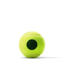 Combo Pelotas de Tenis Transicion Wilson Punto Verde 3P X 24T