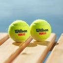 Combo de Pelotas de Padel Wilson Tarro 3P X 12T