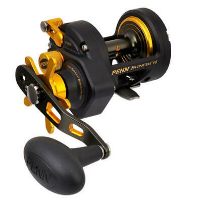 Carrete Casting Penn Fathom15 Star Drag 15Lb 300Yd relación 6.0:1 FTH15 (1238443)