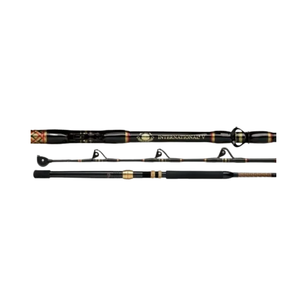 Penn Caña International 6´0" 30-80 Lb Grip Tipo A Guia De Ojos Vs3080Ts60 