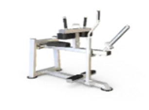 [66555] Seated Calf K6 Professional Evolve