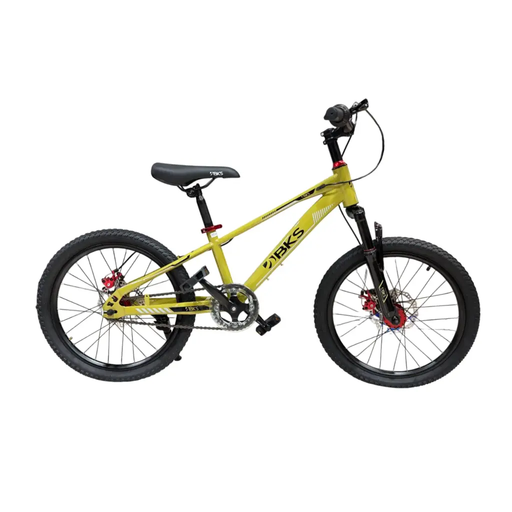 [99754V] Bicycle Rin 20 BKS Dash for Boy