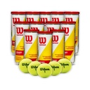 Combo Pelotas de Tenis Wilson Championship Extra Duty 3P X 12T 