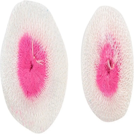 [68222] Mantilla Campingaz para Lámpara Talla M